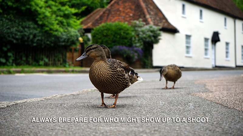 who will show up