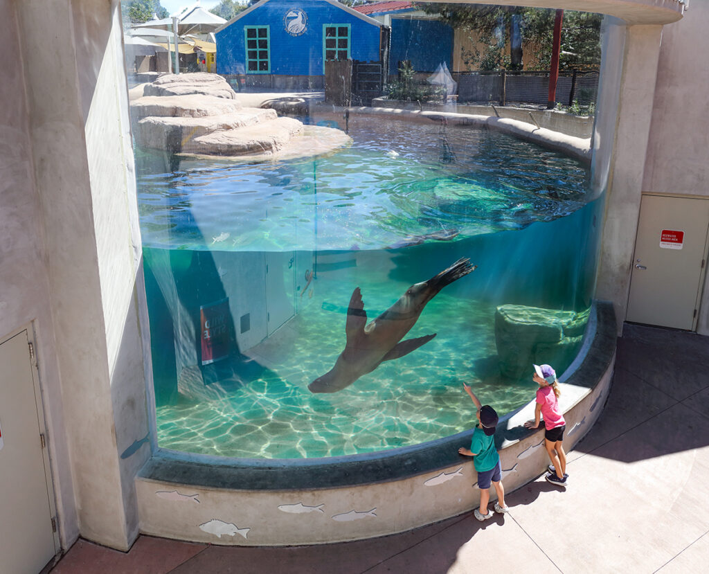 clear glass at this structure