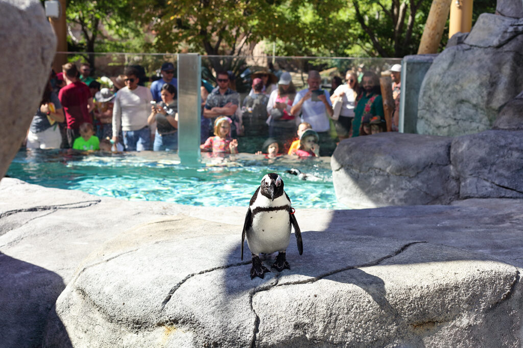 Closeup of the feature