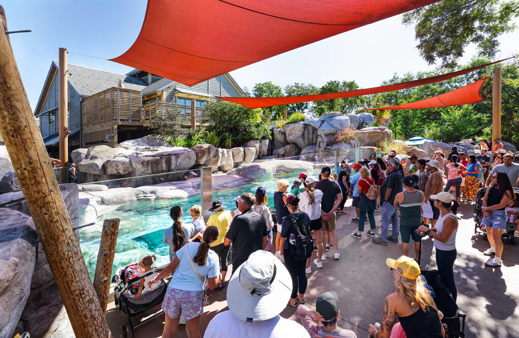 monopod above Penguins